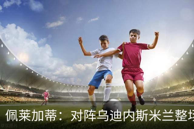 佩莱加蒂：对阵乌迪内斯米兰整场都保持了高度专注，这很积极