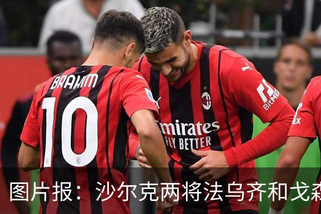 图片报：沙尔克两将法乌齐&戈森斯严重撞伤，将缺席杯赛